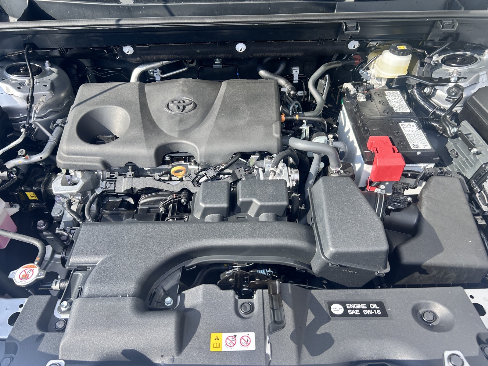 2025 Toyota RAV4 XLE photo 4