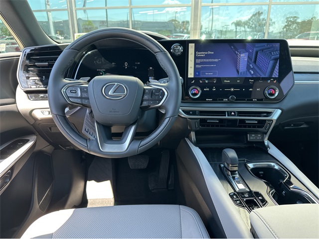2025 Lexus RX 350h Premium AWD photo 12