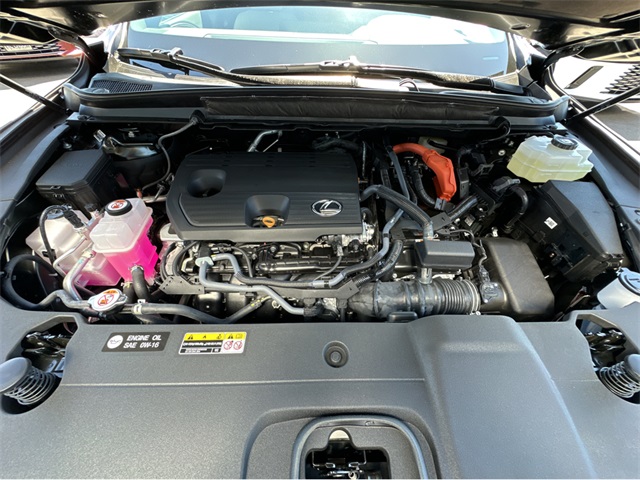 2025 Lexus RX 350h Premium AWD photo 36