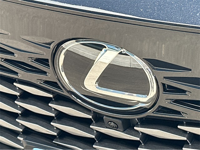 2025 Lexus RX 350h Premium AWD photo 39
