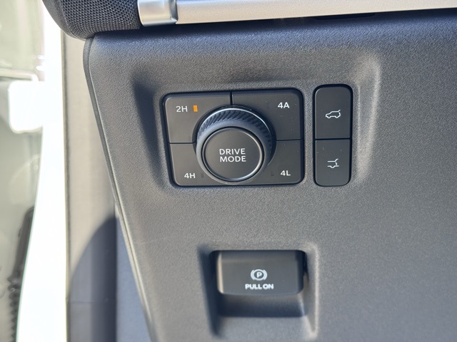 2025 Ford Expedition Active MAX