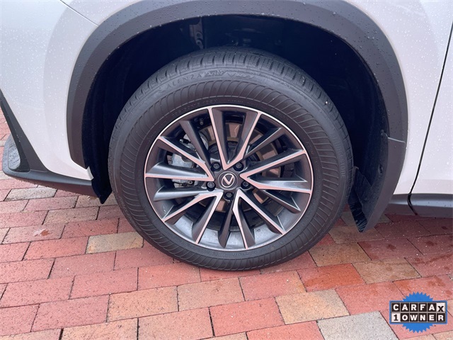 Used 2025 Lexus NX SUV