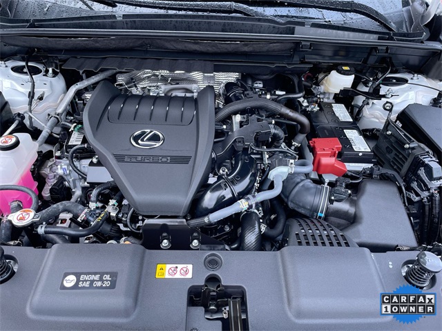 Used 2025 Lexus NX SUV