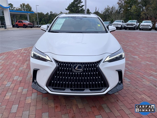 Used 2025 Lexus NX SUV