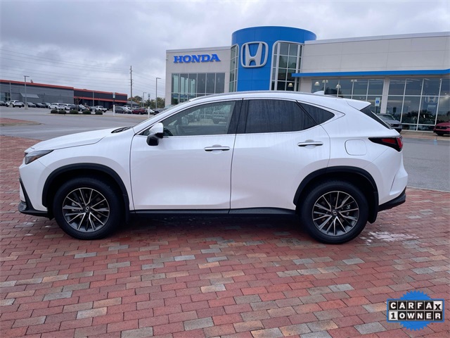 Used 2025 Lexus NX SUV