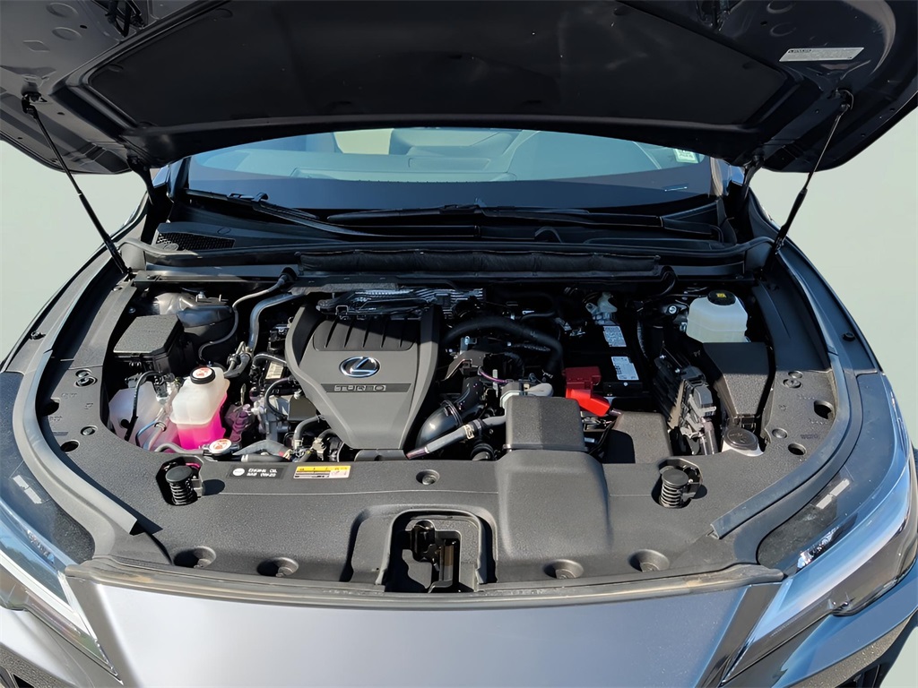 2024 Lexus RX 350 Premium photo 10