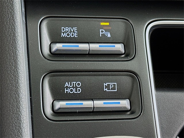 Sonata Hybrid Limited
