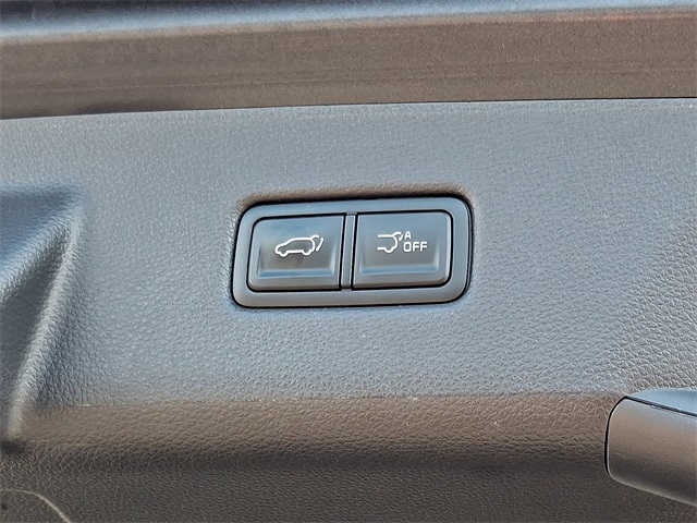 used 2024 Kia Carnival car, priced at $36,334