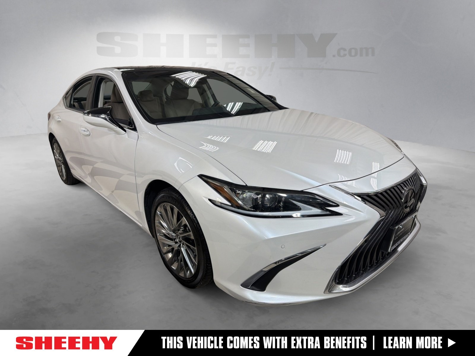 2019 Lexus ES 350 Luxury's photo