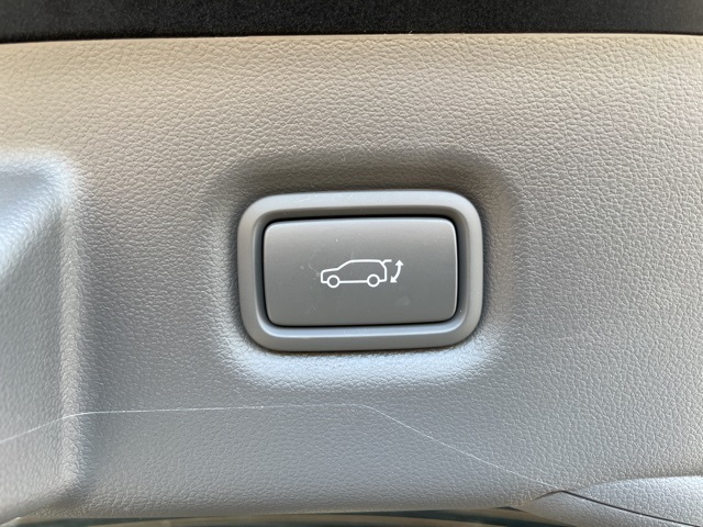 IONIQ 5 SEL