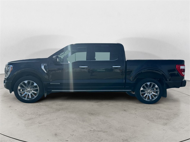 Used 2021 Black Ford Limited image 2