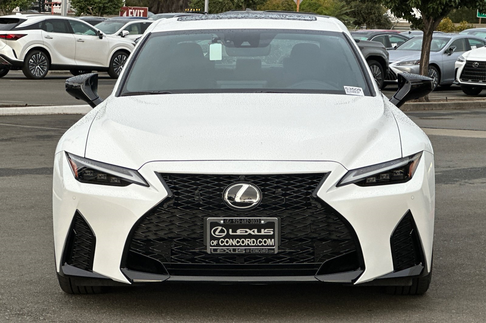 2025 Lexus IS 350 F SPORT photo 6