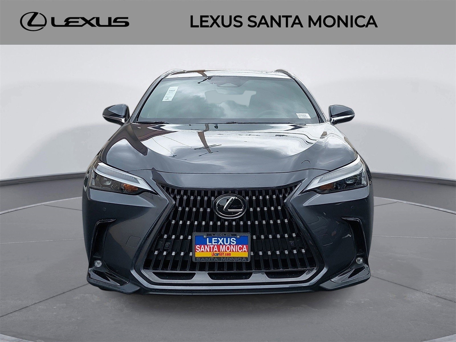 2022 Lexus NX 250's photo