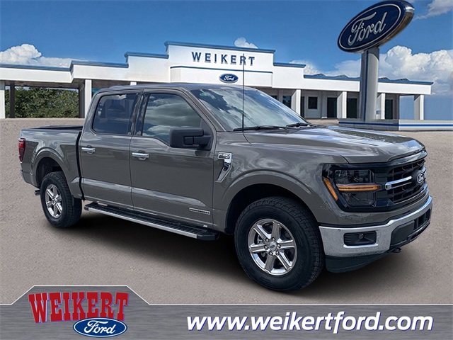 2025 Gray Ford F-150 XLT Truck