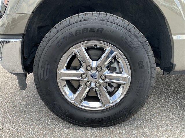 2025 Gray Ford F-150 XLT 4X4 Truck