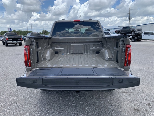 2025 Gray Ford F-150 XLT 4X4 Truck