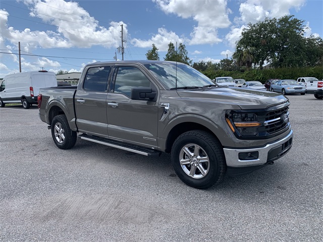 2025 Gray Ford F-150 XLT 4X4 Truck