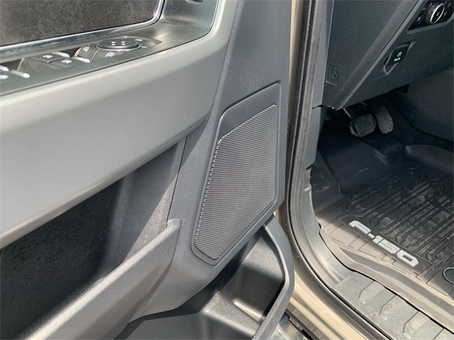 2025 Gray Ford F-150 XLT 4X4 Truck