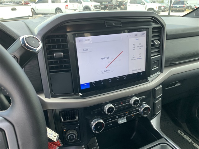 2025 Gray Ford F-150 XLT 4X4 Truck
