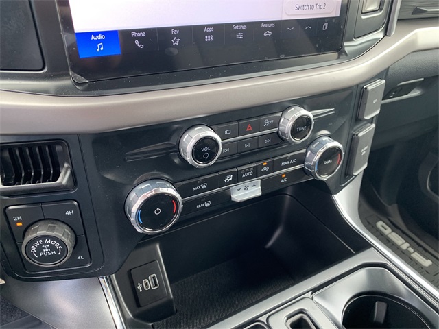 2025 Gray Ford F-150 XLT 4X4 Truck