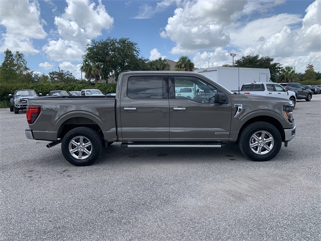2025 Gray Ford F-150 XLT 4X4 Truck