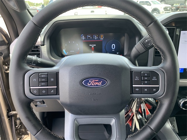 2025 Gray Ford F-150 XLT 4X4 Truck