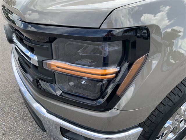 2025 Gray Ford F-150 XLT 4X4 Truck