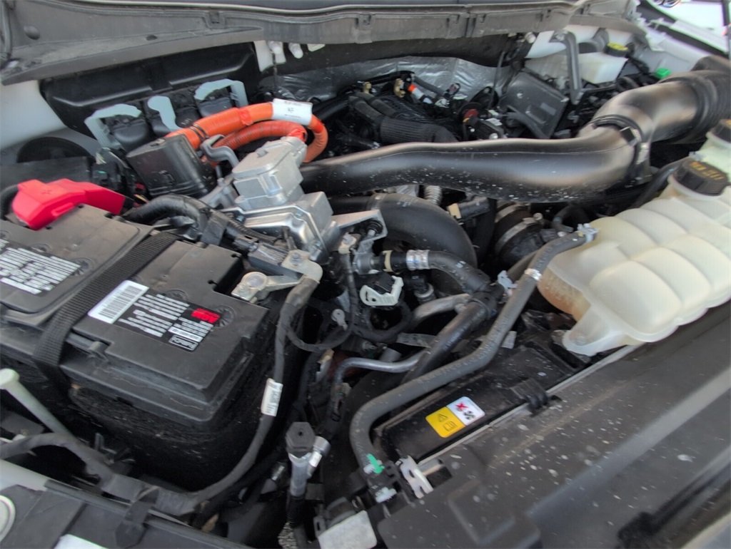 used 2024 Ford F-150 car, priced at $35,998