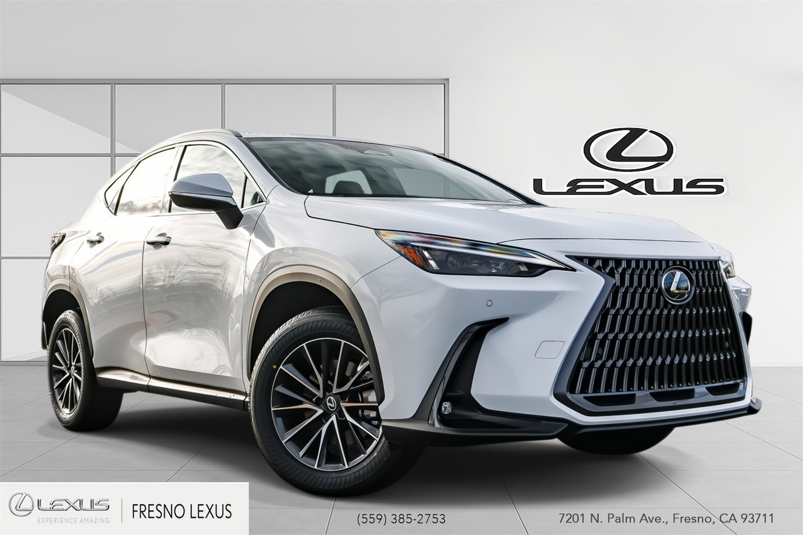 2026 Lexus NX Base's photo
