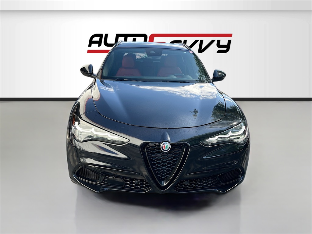 2024 Alfa Romeo Stelvio Tributo Italiano photo 2