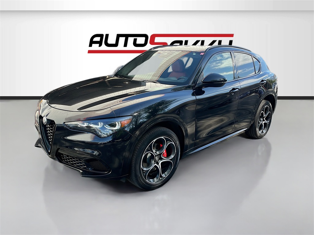 2024 Alfa Romeo Stelvio Tributo Italiano photo 3