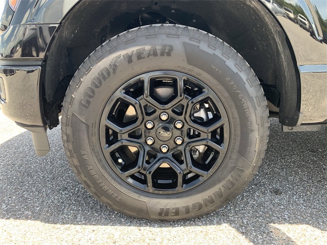 2024 Black Ford F-150 XLT 4X4 Truck