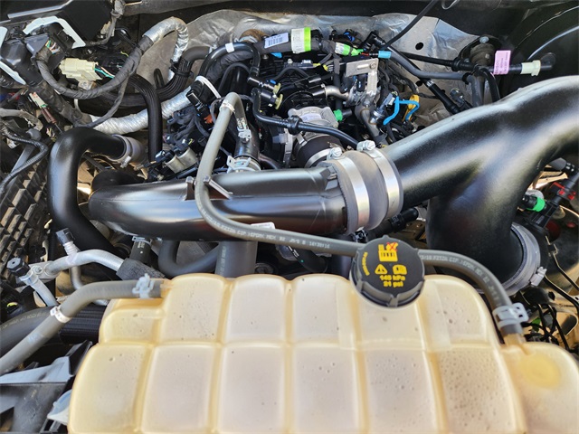 2019 Black Ford F-150 XL RWD Truck