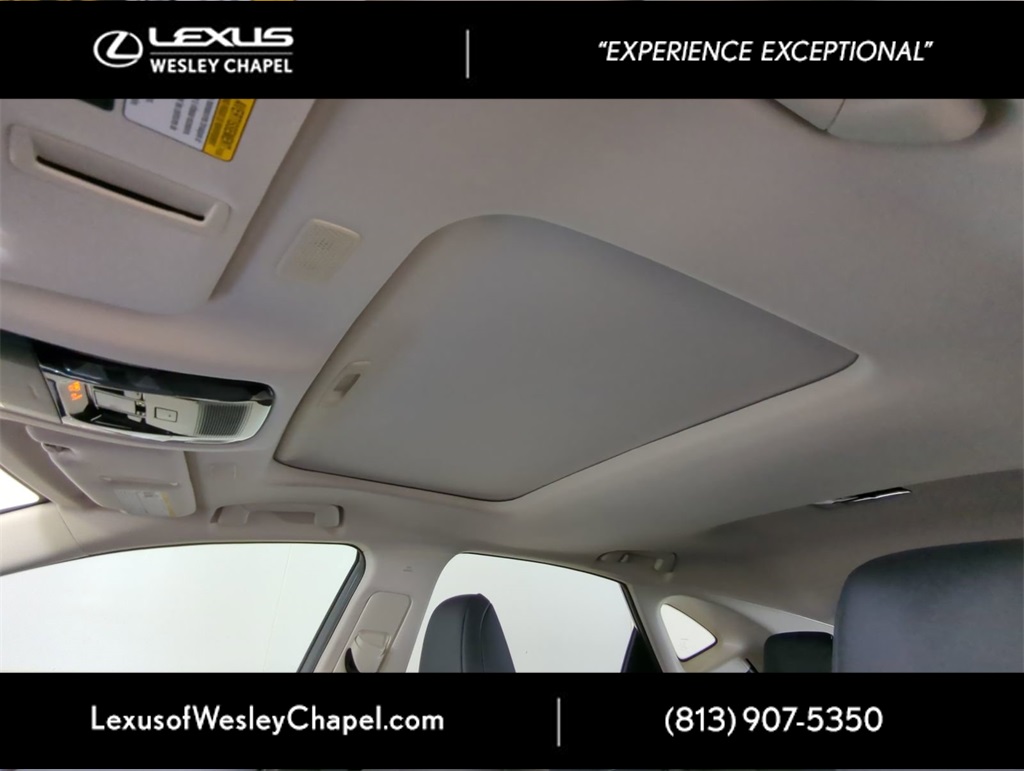 2025 Lexus NX 350h Premium AWD photo 13