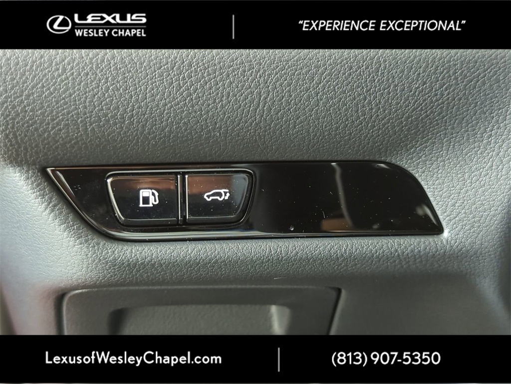 2025 Lexus NX 350h Premium AWD photo 15