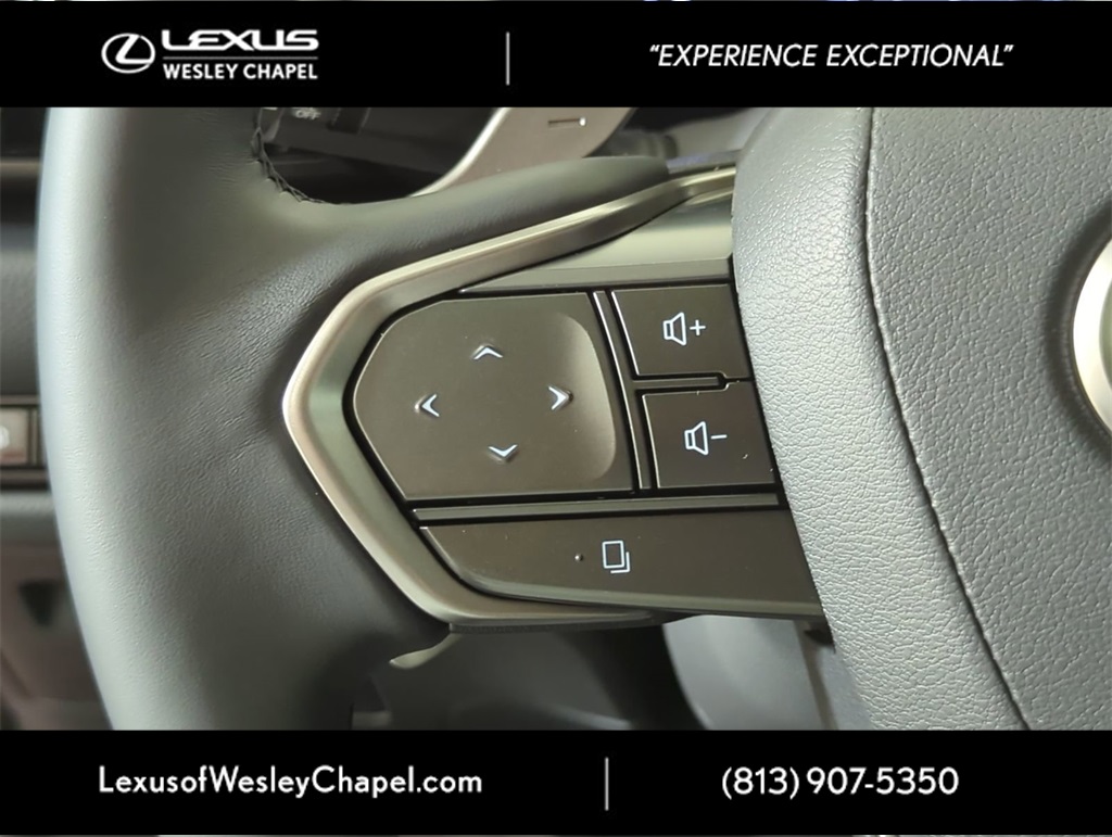 2025 Lexus NX 350h Premium AWD photo 16