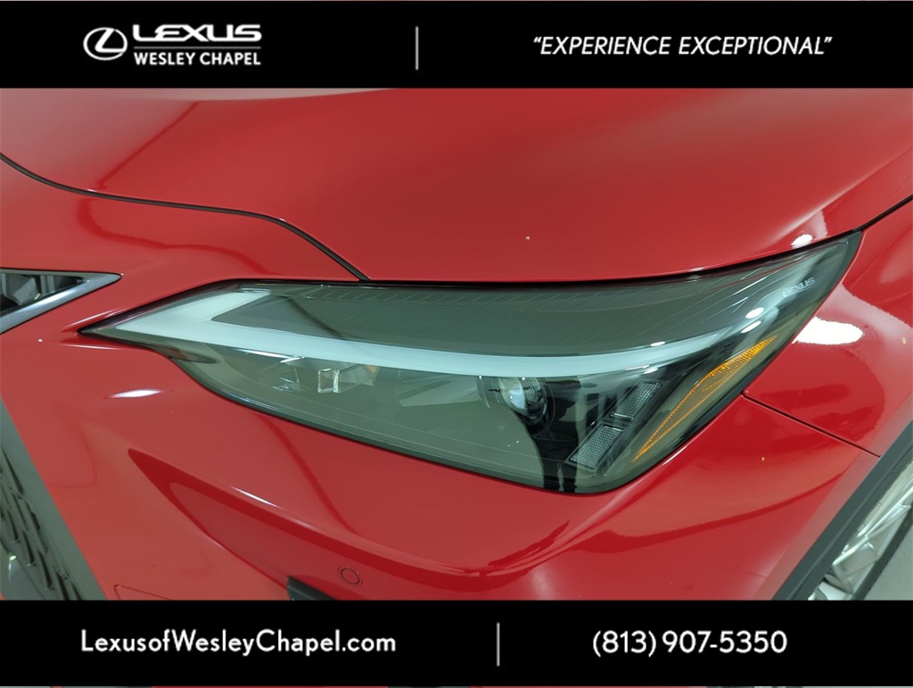 2025 Lexus NX 350h Premium AWD photo 5