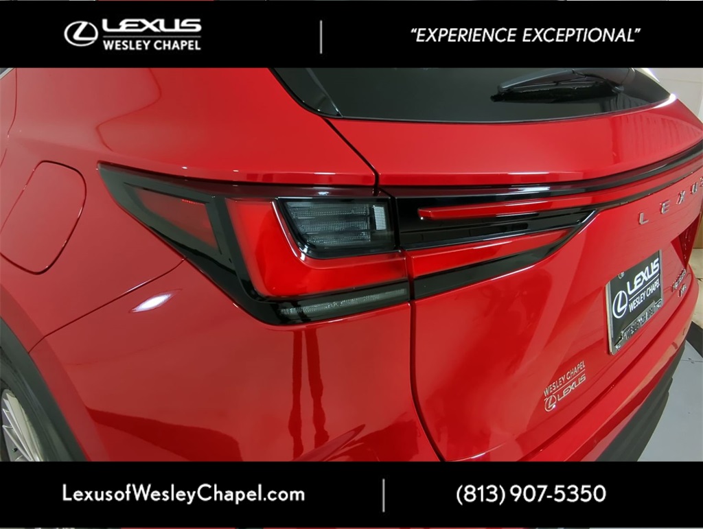 2025 Lexus NX 350h Premium AWD photo 6