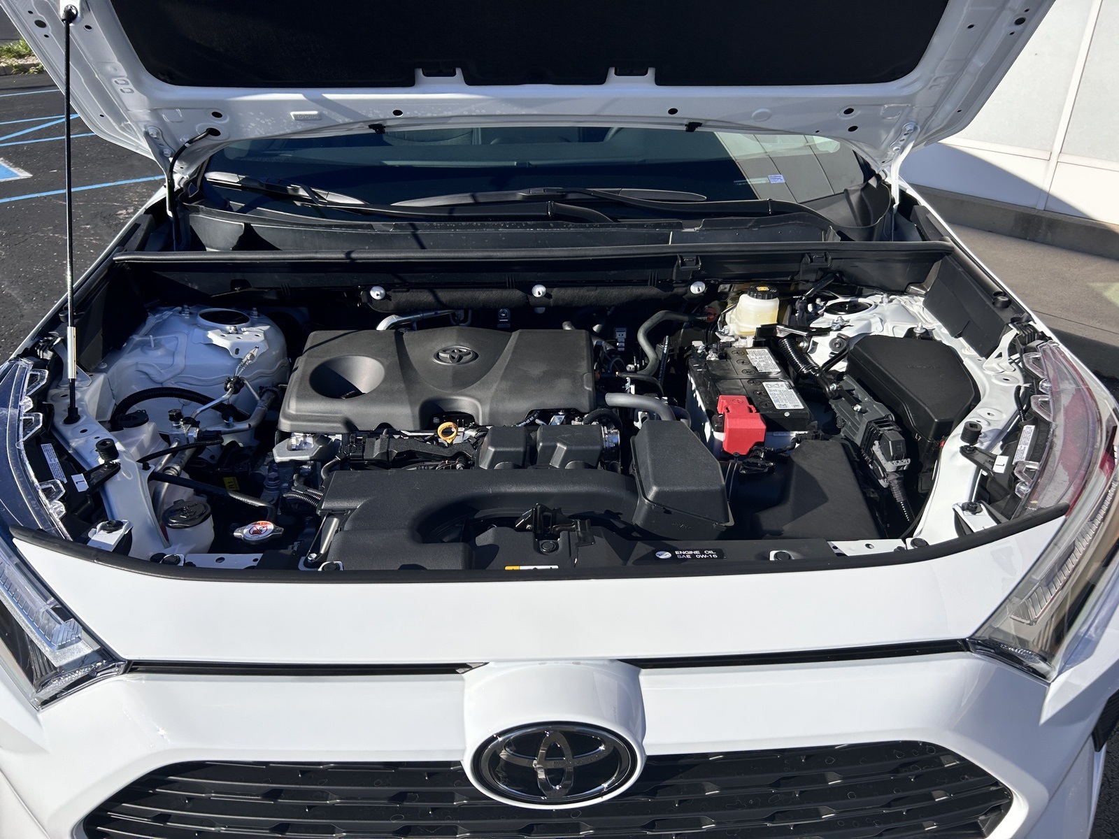 2025 Toyota RAV4 LE photo 3