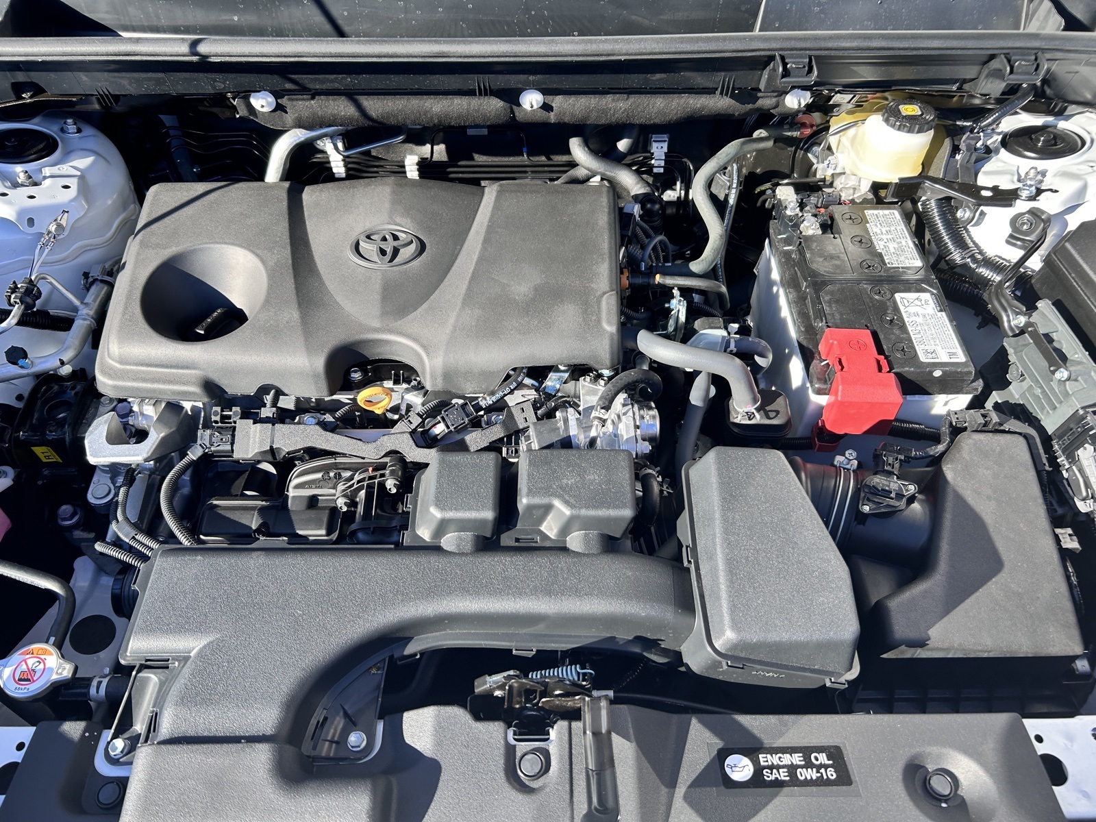 2025 Toyota RAV4 LE photo 4