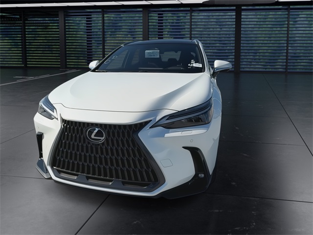 2025 Lexus NX 350h Luxury AWD photo 3
