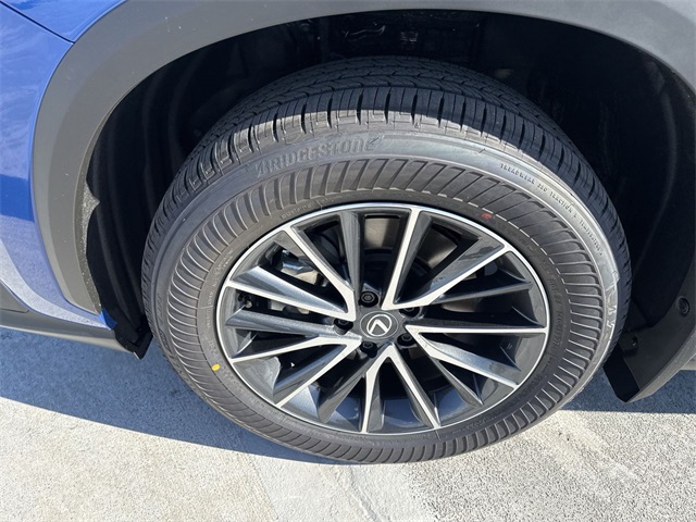 2025 Lexus NX 250 Premium photo 2