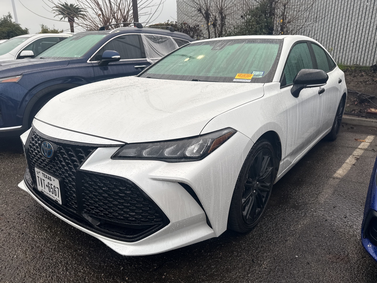 2022 Toyota Avalon XSE Nightshade's photo