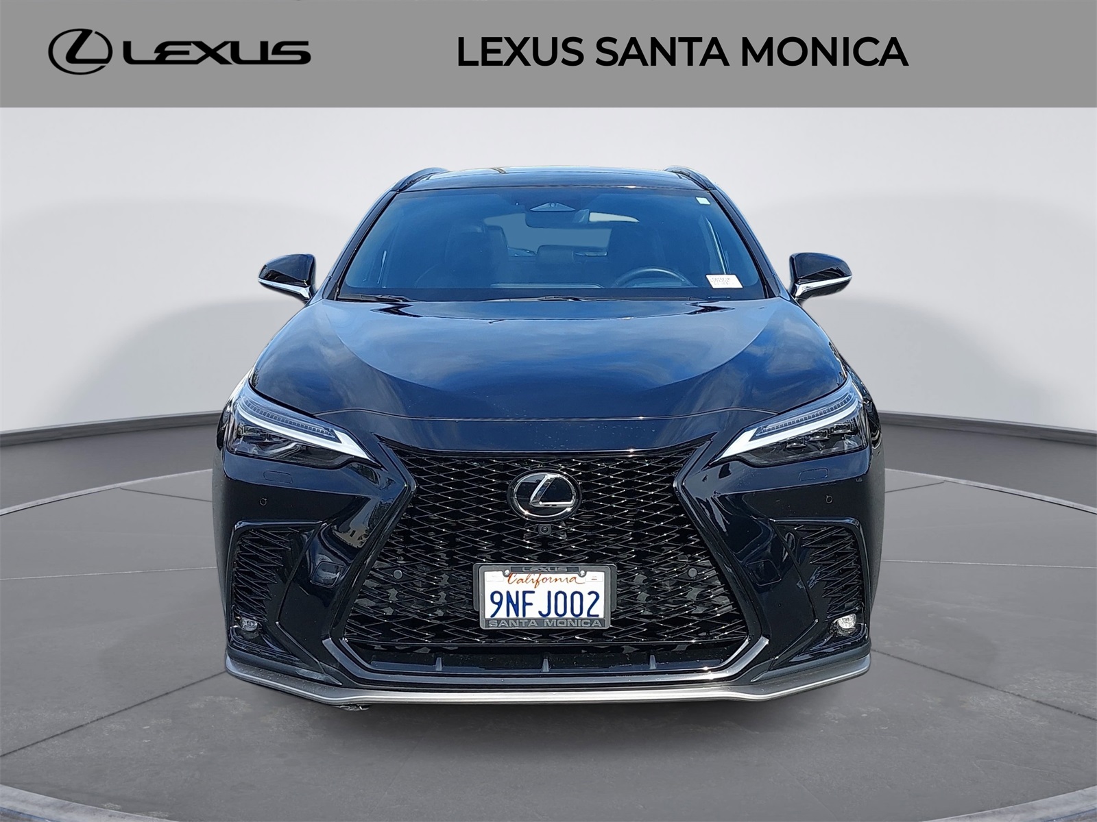 2025 Lexus NX 350's photo