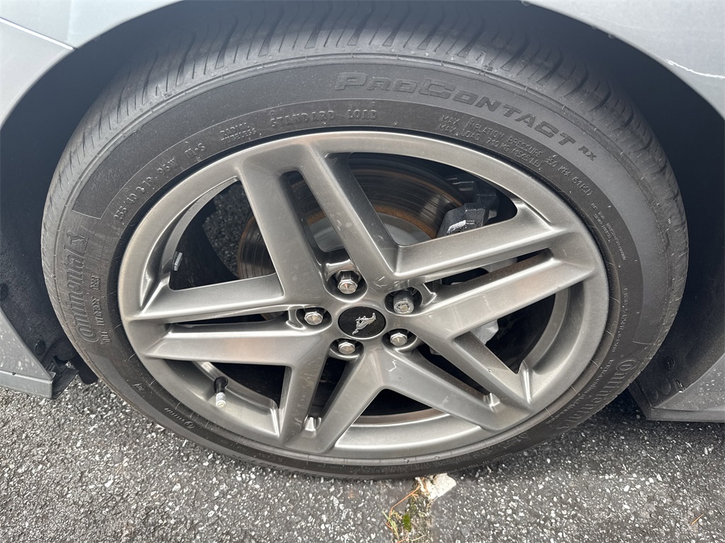 Image-4