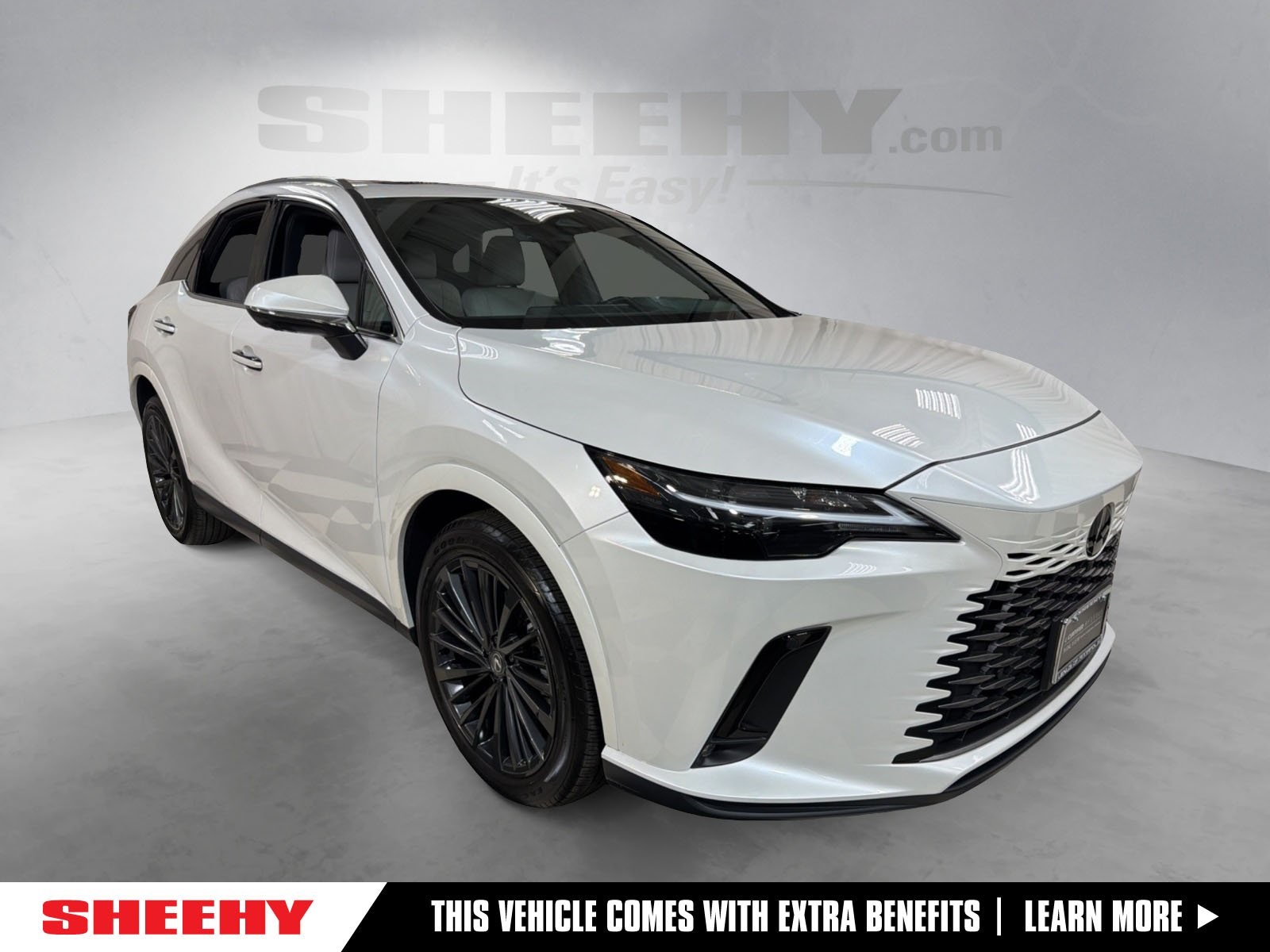 2025 Lexus RX 350's photo