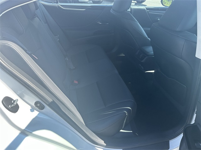 Image-15