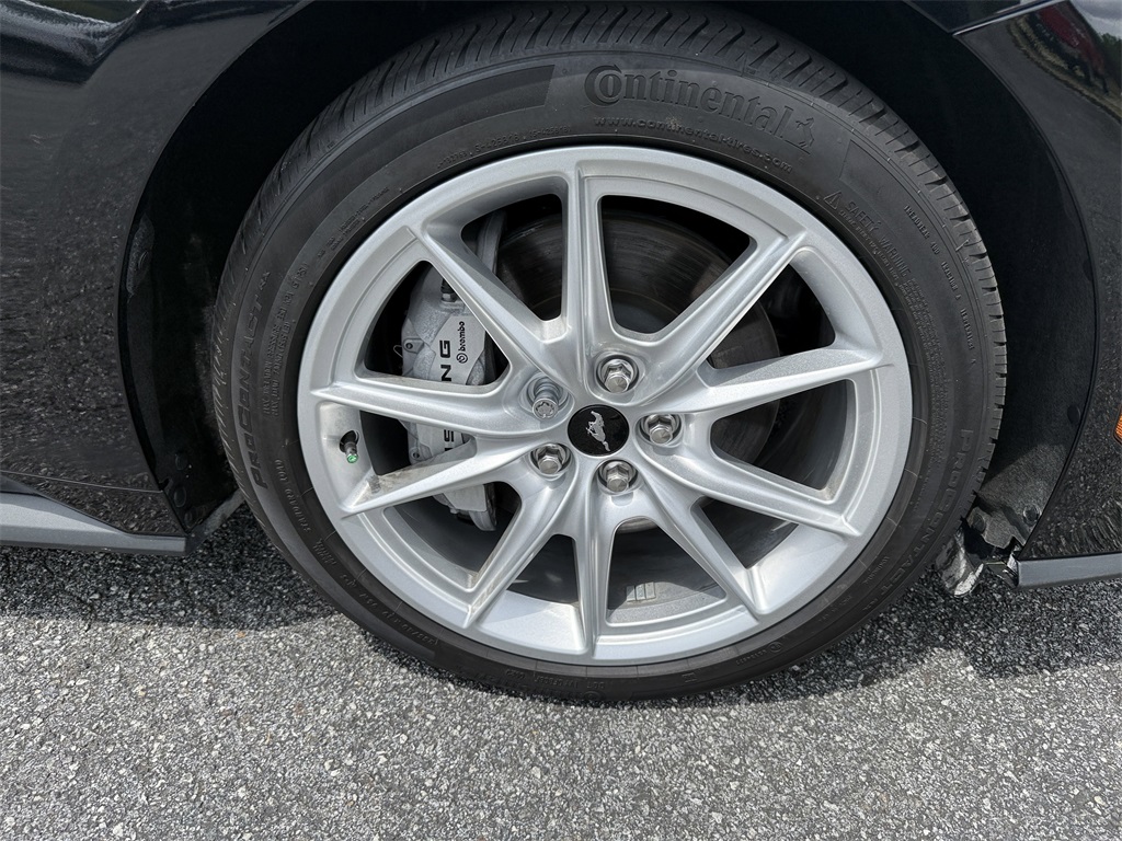 Image-13