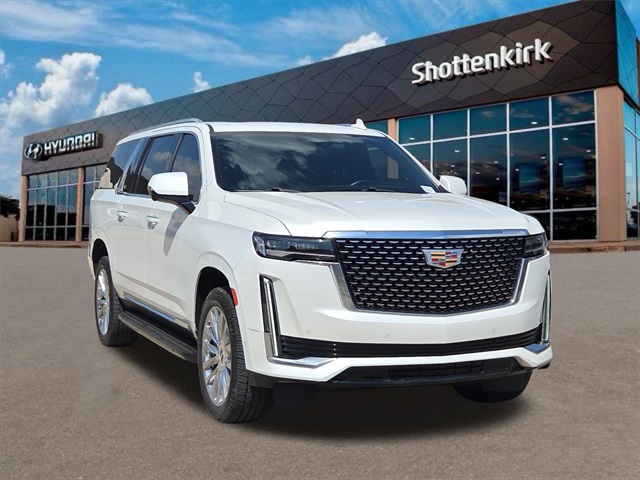2021 Cadillac Escalade ESV Premium Luxury photo 3