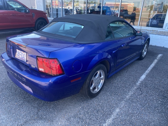 Used 2004 Ford Mustang Deluxe with VIN 1FAFP44654F224627 for sale in Rocky Mount, NC